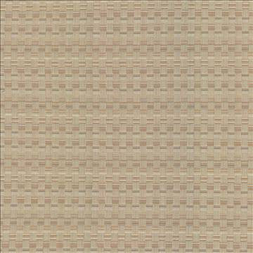 Check This Out Haze by Kasmir Designer Fabric 5083 55% Polyester 45% Rayon CHINA 55,000 Wyzenbeek Double Rubs H: 1 inches, V: 3 inches 55 - Swanky Fabrics - Kasmir