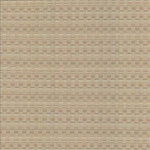 Kasmir Fabric Check This Out Haze