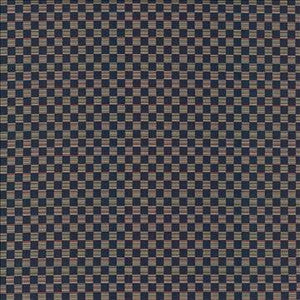 Kasmir Fabric Check This Out Lake
