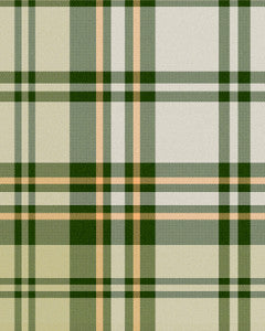 Mind the Gap Wallpaper Mind The Gap   CHESTERFIELD PLAID Juniper   (WP30079)