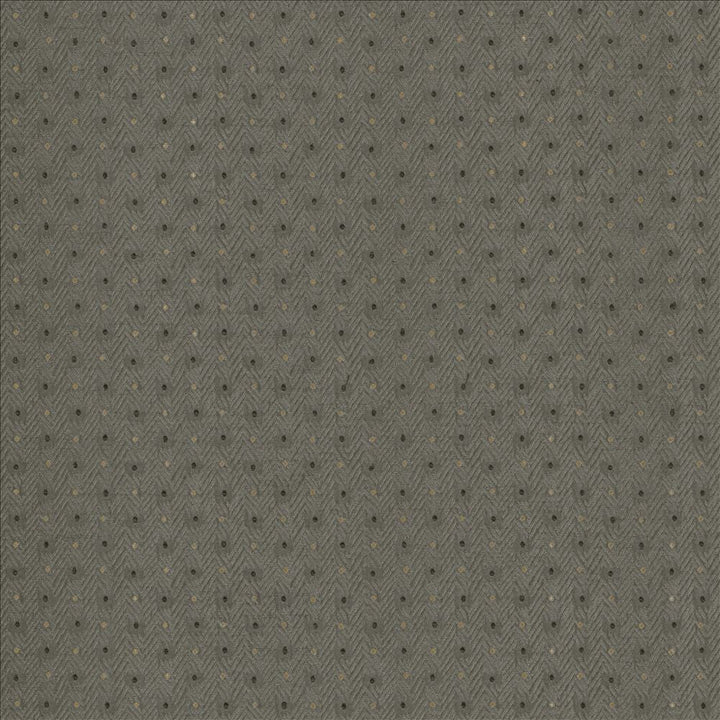 Chiseled Dove by Kasmir Designer Fabric 5119 62% Polyester
38% Cotton
 INDIA </p><p>Repeat: Horizontal: 1 2/8 inches and Vertical: 1 inches 54 - Swanky Fabrics -