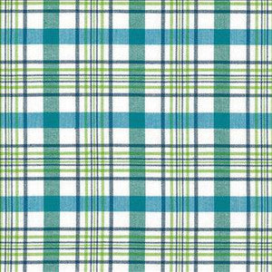 Kasmir Fabric Cicero Plaid Isle Waters
