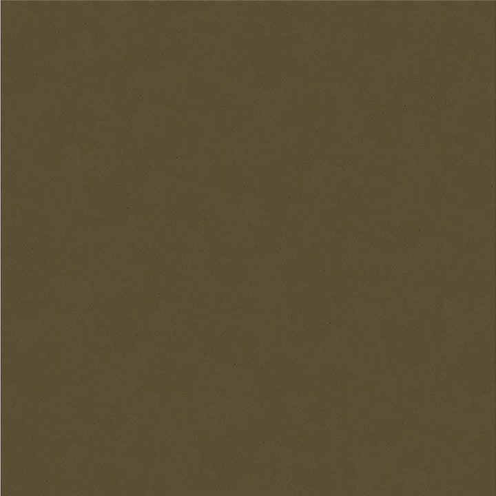 CIELO.11 by Kravet Design Designer Fabric Ultraleather Plus IV 100% Leather Japan Heavy Horizontal: see sample and Vertical: see sample 54 inches - Swanky Fabrics -