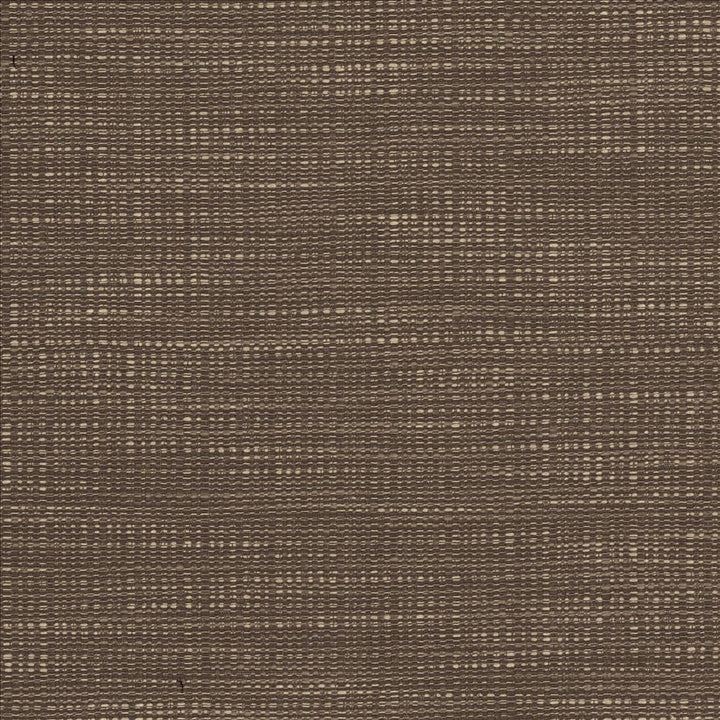 Ciro Darjeeling by Kasmir Designer Fabric 5101 56% Rayon
44% Polyester
 CHINA </p><p>Repeat: Horizontal: N/A and Vertical: N/A 55 - Swanky Fabrics -