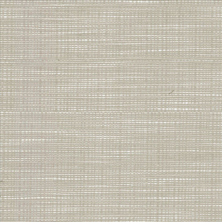 Ciro Elephant by Kasmir Designer Fabric 5100 56% Rayon
44% Polyester
 CHINA </p><p>Repeat: Horizontal: N/A and Vertical: N/A 55 - Swanky Fabrics -