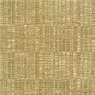 Ciro Honeysuckle by Kasmir Designer Fabric 5093 56% Rayon 44% Polyester CHINA 51,000 Wyzenbeek Double Rubs H: N/A, V: N/A 55 - Swanky Fabrics - Kasmir