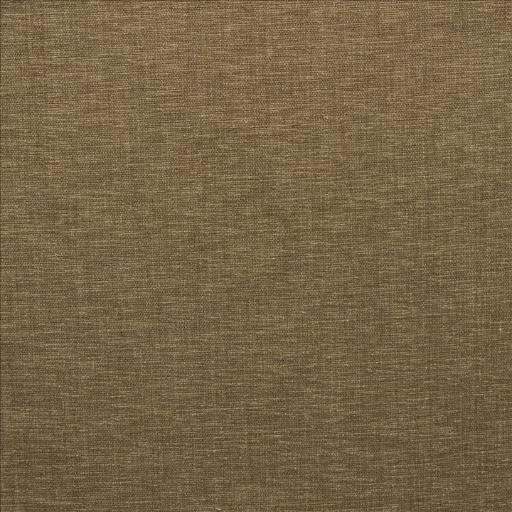 Cityview Almond  by Kasmir Designer Fabric 5186 100% Other Fiber  INDIA  </p><p>Repeat: Horizontal: N/A and Vertical:  0 inches 54  - Swanky Fabrics -