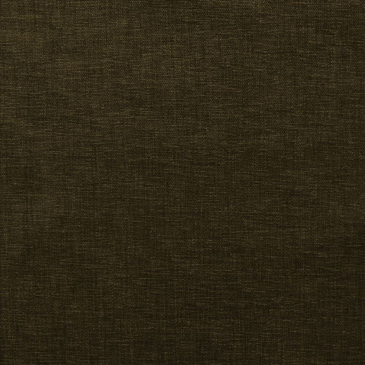 Cityview Chocolate  by Kasmir Designer Fabric 5186 100% Other Fiber  INDIA  </p><p>Repeat: Horizontal: N/A and Vertical:  0 inches 54  - Swanky Fabrics -