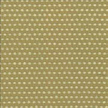 Come And Go Sprout by Kasmir Designer Fabric 5074 100% Polyester CHINA 27,000 Wyzenbeek Double Rubs H: 4/8 inches, V: 1 inches 56 - Swanky Fabrics - Kasmir