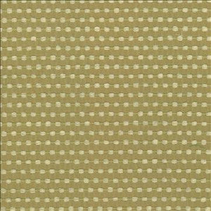 Kasmir Fabric Come And Go Sprout