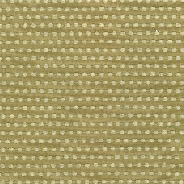 Come And Go Sprout by Kasmir Designer Fabric 5074 100% Polyester
 CHINA </p><p>Repeat: Horizontal: 4/8 inches and Vertical: 1 inches 56 - Swanky Fabrics -