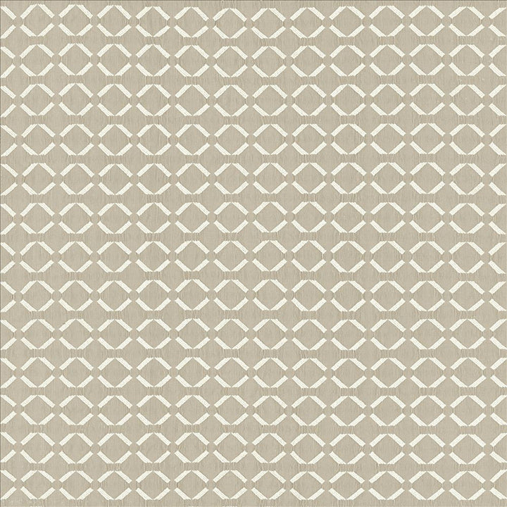 Community Cloud by Kasmir Designer Fabric 5141 72% Polyester
28% Cotton
 INDIA </p><p>Repeat: Horizontal: 1 3/8 inches and Vertical: 1 2/8 inches 54 - Swanky Fabrics -