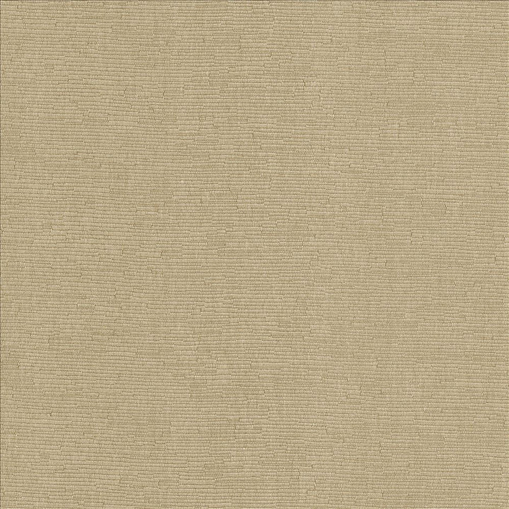 Como Taupe by Kasmir Designer Fabric 5116 51% Cotton
49% Polyester
 TAIWAN </p><p>Repeat: Horizontal: N/A and Vertical: N/A 54 - 55 - Swanky Fabrics -