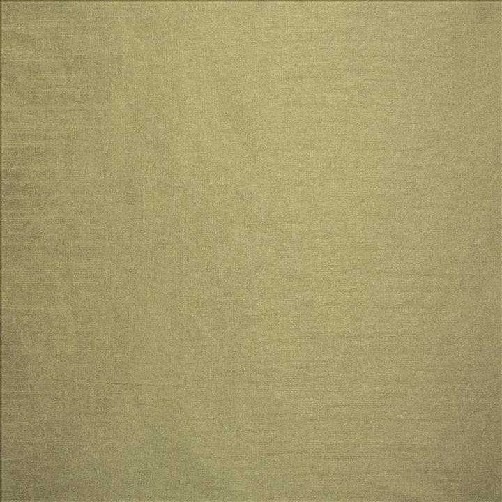 Complementary Aloe by Kasmir Designer Fabric 5168 100% Polyester
 INDIA Not Tested </p><p>Repeat: Horizontal: N/A and Vertical: N/A 54 - Swanky Fabrics -