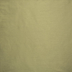 Kasmir Fabric Complementary Aloe