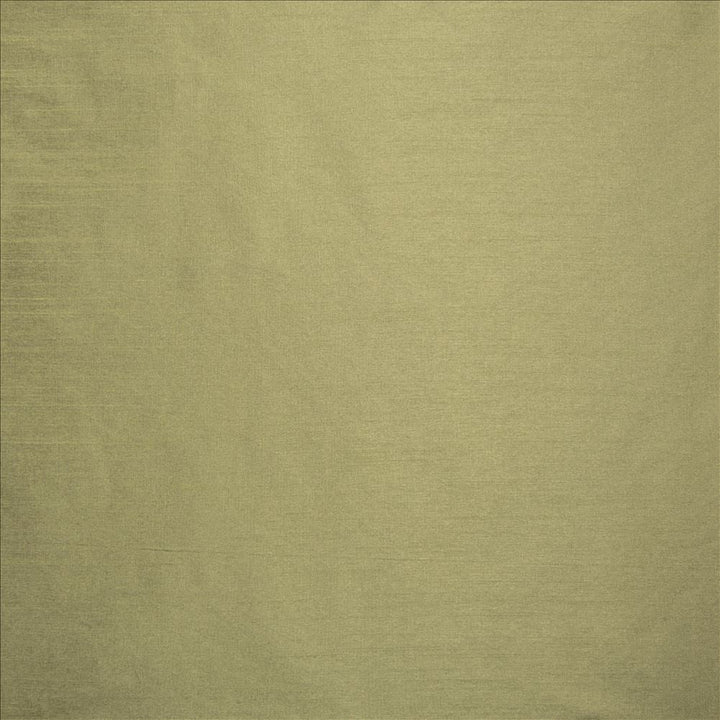 Complementary Aloe by Kasmir Designer Fabric 5168 100% Polyester
 INDIA </p><p>Repeat: Horizontal: N/A and Vertical: N/A 54 - Swanky Fabrics -