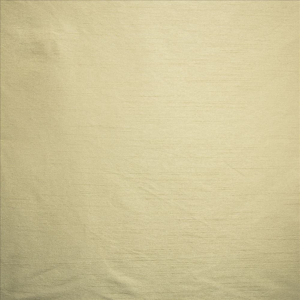 Complementary Birch  by Kasmir Designer Fabric 5168 100% Polyester
 INDIA Not Tested Horizontal: N/A and Vertical: N/A 54  - Swanky Fabrics -