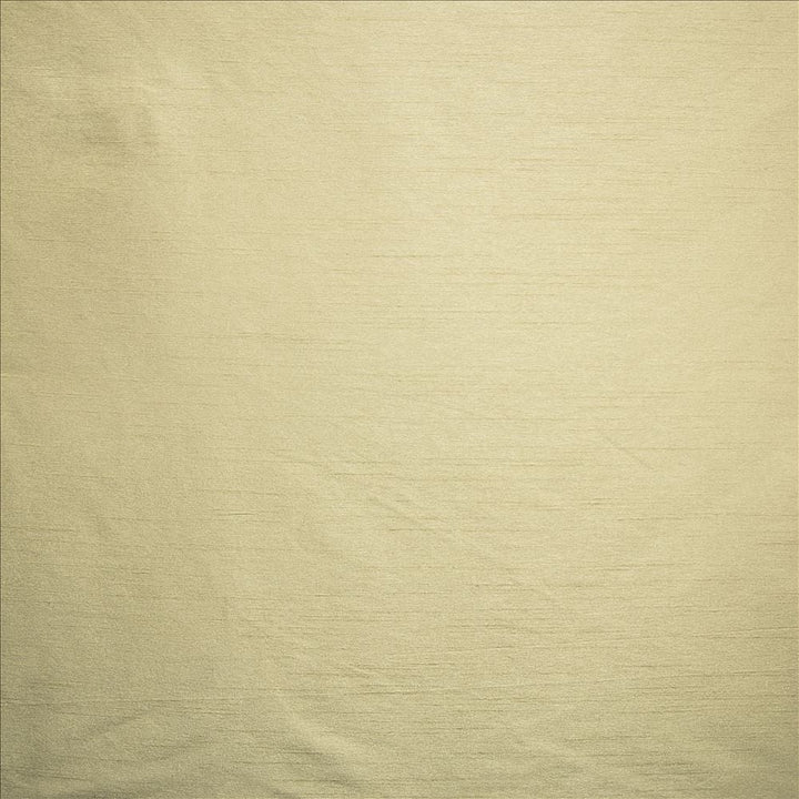 Complementary Birch  by Kasmir Designer Fabric 5168 100% Polyester
 INDIA Not Tested Horizontal: N/A and Vertical: N/A 54  - Swanky Fabrics -