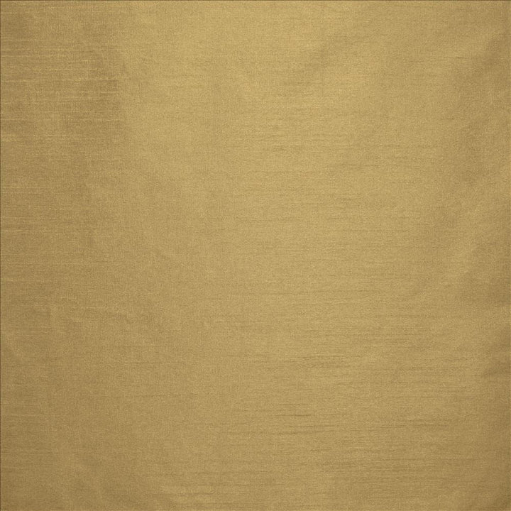 Complementary Buff by Kasmir Designer Fabric 5168 100% Polyester
 INDIA </p><p>Repeat: Horizontal: N/A and Vertical: N/A 54 - Swanky Fabrics -