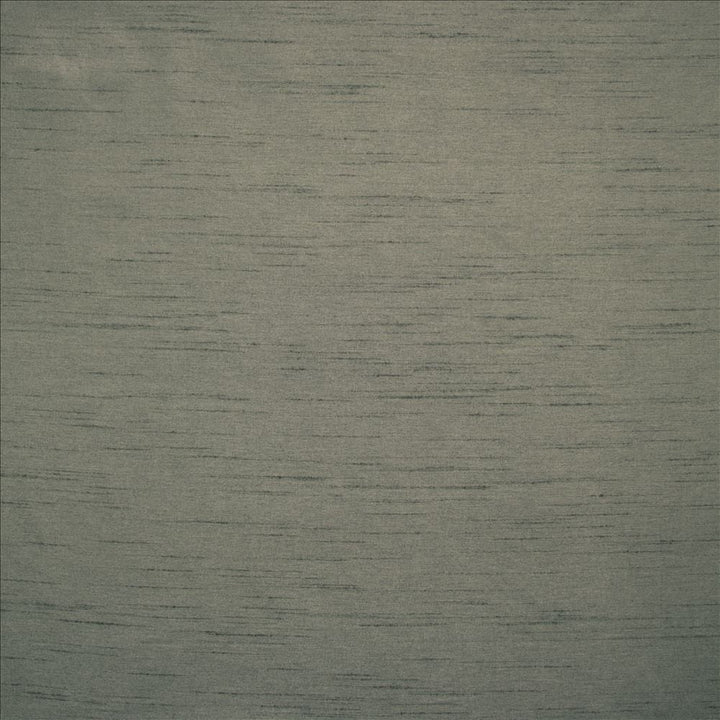 Complementary Charcoal by Kasmir Designer Fabric 5168 100% Polyester
 INDIA </p><p>Repeat: Horizontal: N/A and Vertical: N/A 54 - Swanky Fabrics -