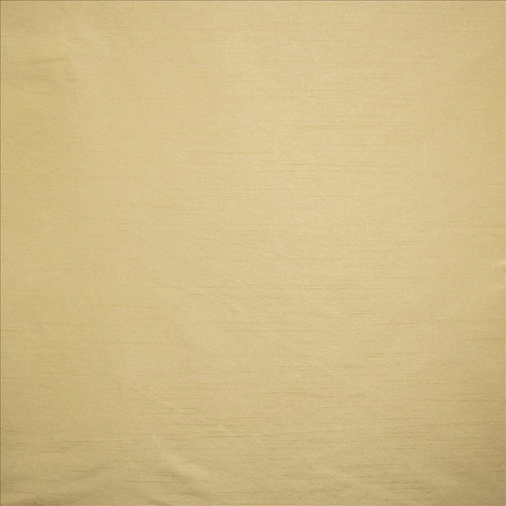 Complementary Driftwood by Kasmir Designer Fabric 5168 100% Polyester
 INDIA Not Tested </p><p>Repeat: Horizontal: N/A and Vertical: N/A 54 - Swanky Fabrics -