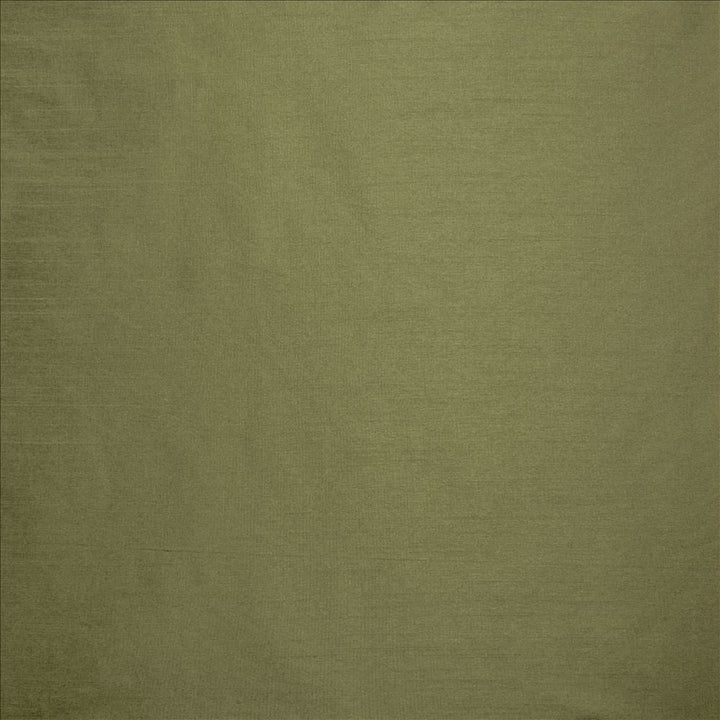 Complementary Lichen by Kasmir Designer Fabric 5168 100% Polyester
 INDIA </p><p>Repeat: Horizontal: N/A and Vertical: N/A 54 - Swanky Fabrics -