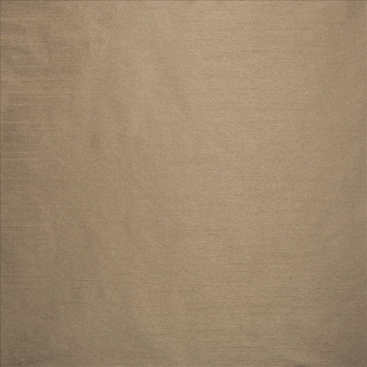 Complementary Mink by Kasmir Designer Fabric 5168 100% Polyester
 INDIA Not Tested </p><p>Repeat: Horizontal: N/A and Vertical: N/A 54 - Swanky Fabrics -
