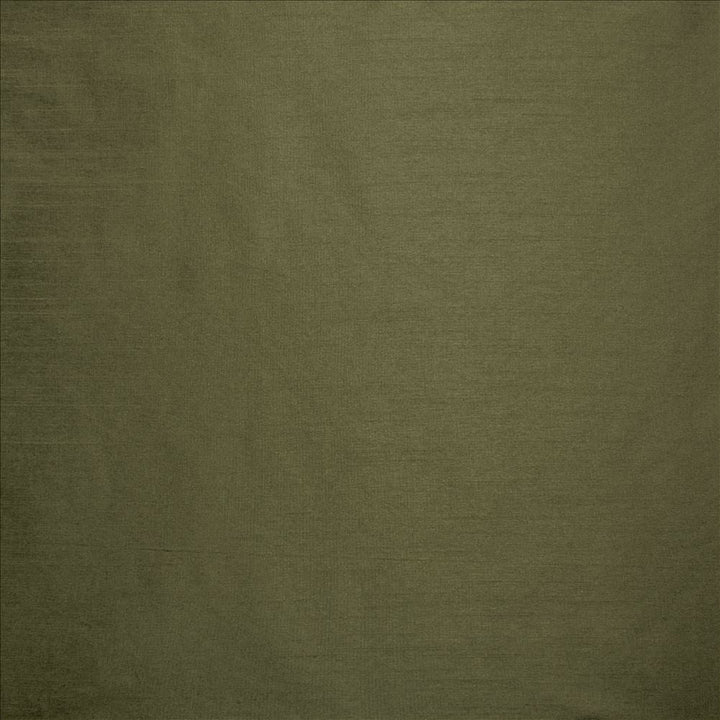 Complementary Pine  by Kasmir Designer Fabric 5168 100% Polyester
 INDIA Not Tested Horizontal: N/A and Vertical: N/A 54  - Swanky Fabrics -