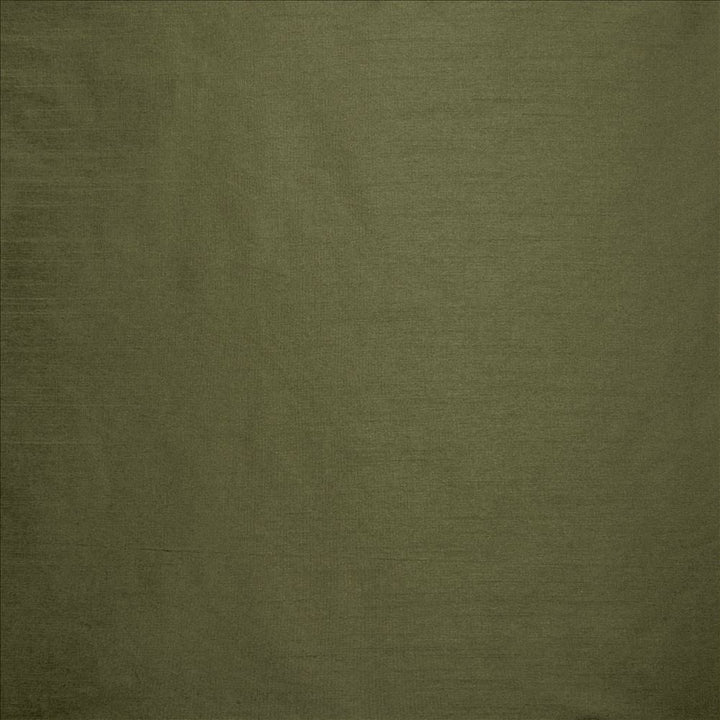 Complementary Pine by Kasmir Designer Fabric 5168 100% Polyester
 INDIA Not Tested </p><p>Repeat: Horizontal: N/A and Vertical: N/A 54 - Swanky Fabrics -