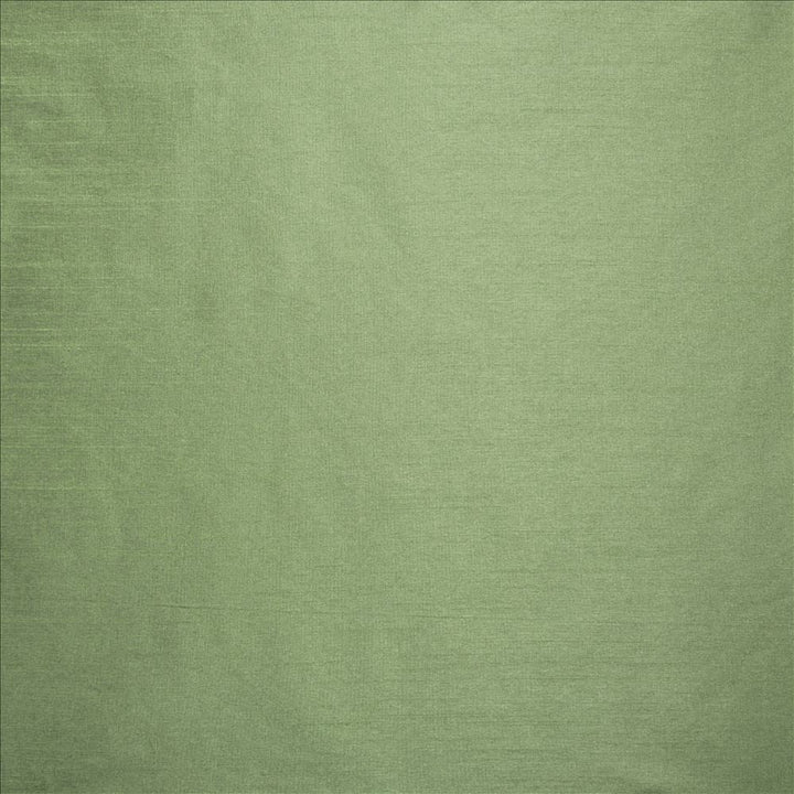Complementary Sage by Kasmir Designer Fabric 5168 100% Polyester
 INDIA </p><p>Repeat: Horizontal: N/A and Vertical: N/A 54 - Swanky Fabrics -