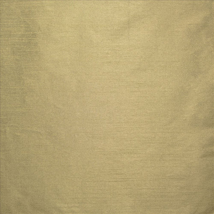 Complementary Truffle by Kasmir Designer Fabric 5168 100% Polyester
 INDIA </p><p>Repeat: Horizontal: N/A and Vertical: N/A 54 - Swanky Fabrics -