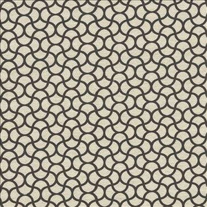Kasmir Fabric Coolrain Thunder