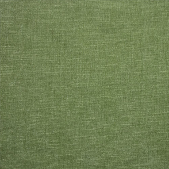 Corato Aloe  by Kasmir Designer Fabric 5187 62% Polyester 38% Cotton  INDIA  </p><p>Repeat: Horizontal: N/A and Vertical:  0 inches 54  - Swanky Fabrics -