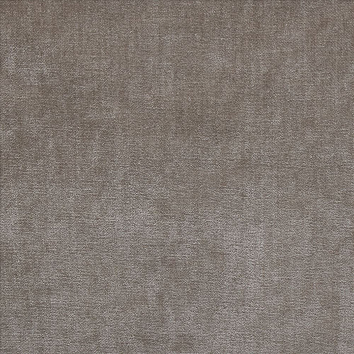 Corato Birch  by Kasmir Designer Fabric 5187 62% Polyester 38% Cotton  INDIA  </p><p>Repeat: Horizontal: N/A and Vertical:  0 inches 54  - Swanky Fabrics -
