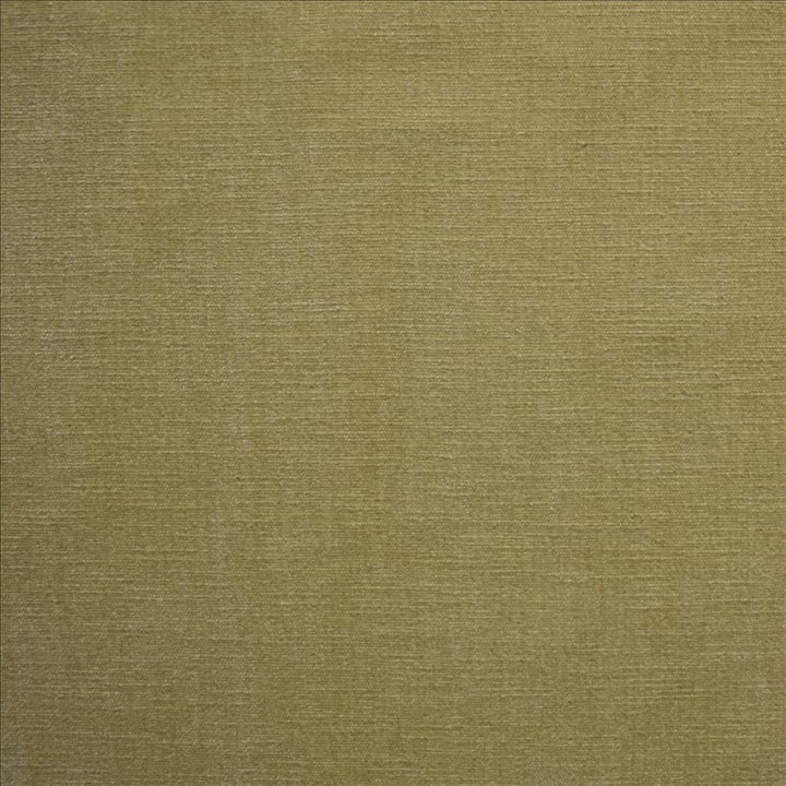 Corato Flax  by Kasmir Designer Fabric 5187 62% Polyester 38% Cotton  INDIA  </p><p>Repeat: Horizontal: N/A and Vertical:  0 inches 54  - Swanky Fabrics -
