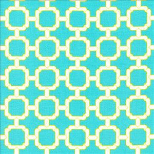 Kasmir Fabric Cozumel Fret Parakeet