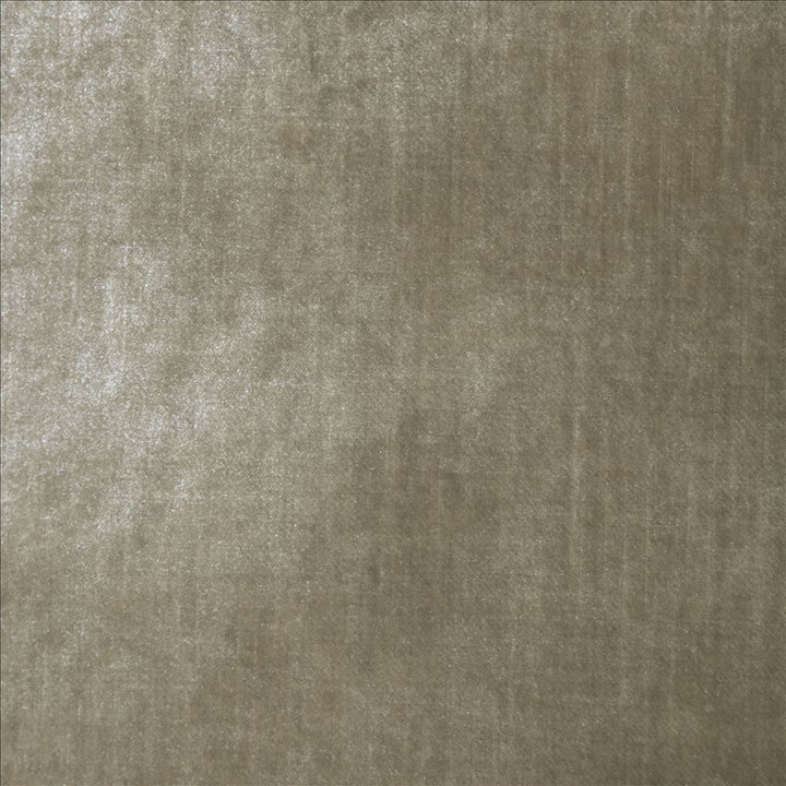 Daring Champagne  by Kasmir Designer Fabric 5182 100% Polyester  CHINA  </p><p>Repeat: Horizontal: N/A and Vertical: N/A 55  - Swanky Fabrics -