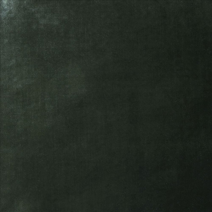 Daring Pine  by Kasmir Designer Fabric 5182 100% Polyester  CHINA  </p><p>Repeat: Horizontal: N/A and Vertical: N/A 55  - Swanky Fabrics -