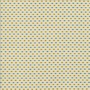 Kasmir Fabric Dash It Spring