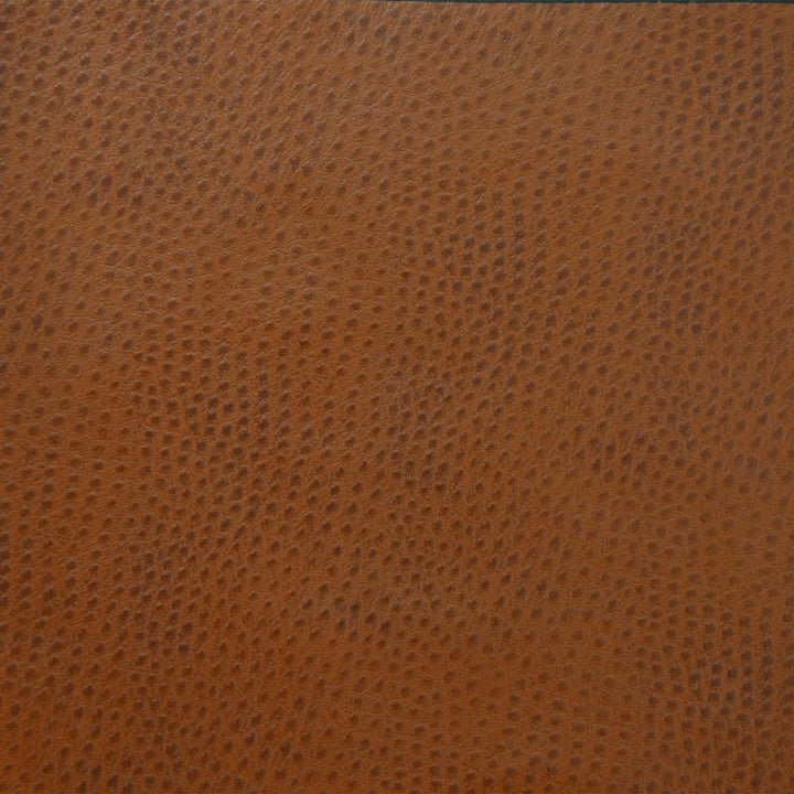 DELANEY.6 by Kravet Design Designer Fabric our website for purchase 100% Leather Korea, Republic of Heavy Horizontal: see sample and Vertical: see sample 54 inches - Swanky Fabrics -