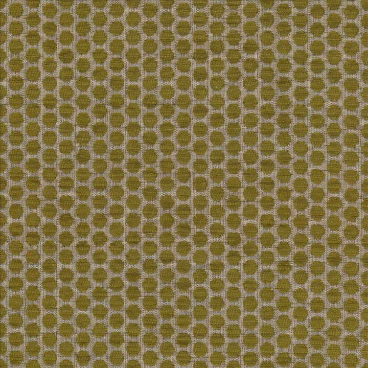 Delightful Dots Sprout  by Kasmir Designer Fabric 1442 42% Acrylic
33% Polyester
25% Cotton
 TURKEY 31,000 Martindale Cycles Horizontal: 1 inches and Vertical: 5/8 inches 54  - Swanky Fabrics -