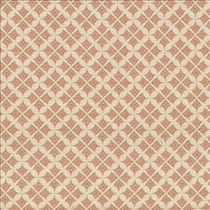 Kasmir Fabric Devi Persimmon