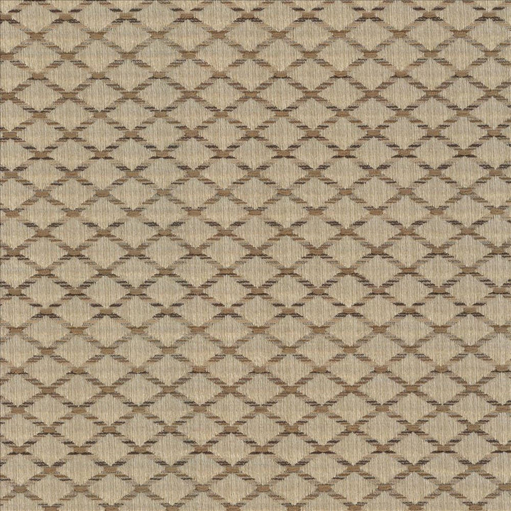 Diamonside Latte by Kasmir Designer Fabric 5083 55% Polyester
45% Rayon
 CHINA </p><p>Repeat: Horizontal: 1 2/8 inches and Vertical: 4/8 inches 55 - Swanky Fabrics -