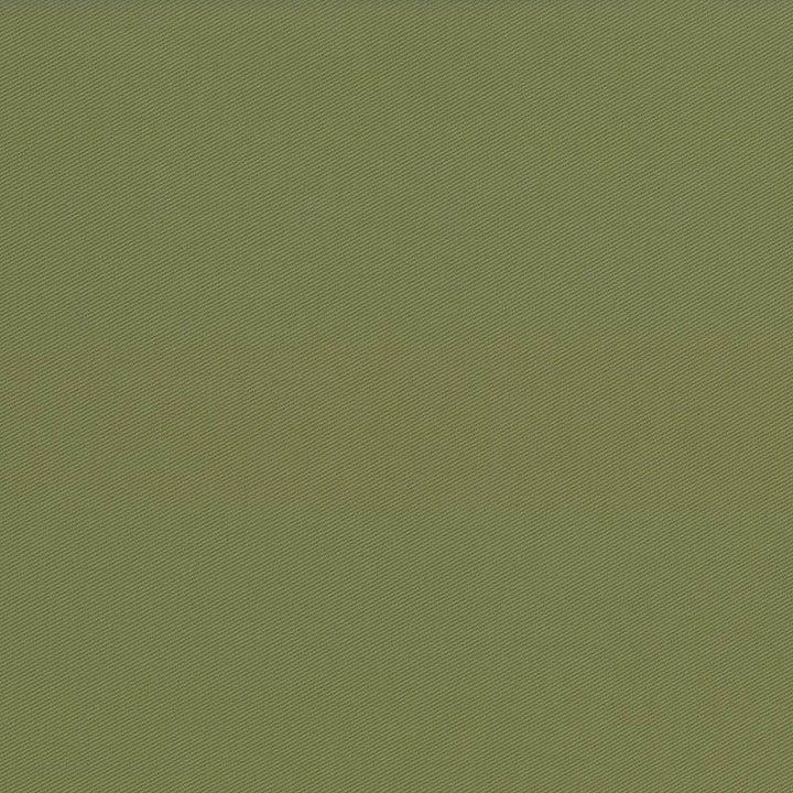 Docksider Basil  by Kasmir Designer Fabric 5057 100% Cotton
 USA 18,000 Wyzenbeek Double Rubs Horizontal: N/A and Vertical: N/A 57  - Swanky Fabrics -
