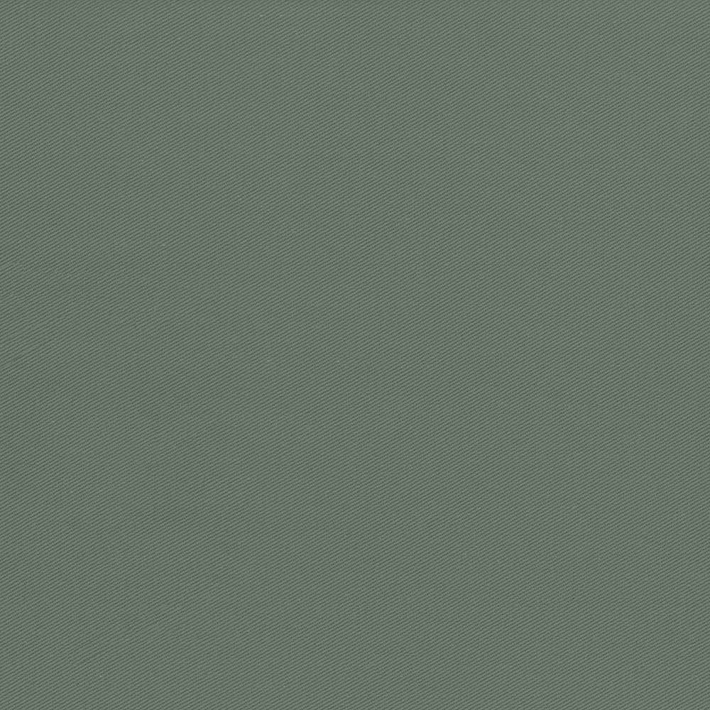 Docksider Loden by Kasmir Designer Fabric 5057 100% Cotton
 USA </p><p>Repeat: Horizontal: N/A and Vertical: N/A 57 - 58 - Swanky Fabrics -