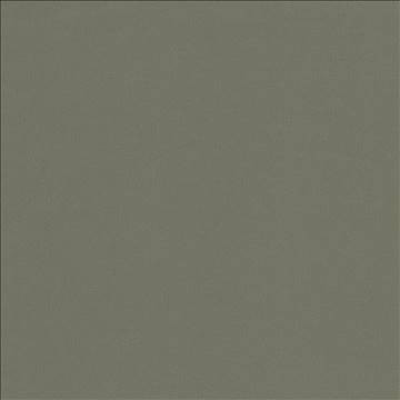 Docksider Steel by Kasmir Designer Fabric 5057 100% Cotton USA 18,000 Wyzenbeek Double Rubs H: N/A, V: N/A 57 - 58 - Swanky Fabrics - Kasmir