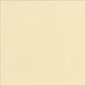 Docksider Straw by Kasmir Designer Fabric 5057 100% Cotton USA 18,000 Wyzenbeek Double Rubs H: N/A, V: N/A 57 - 58 - Swanky Fabrics - Kasmir