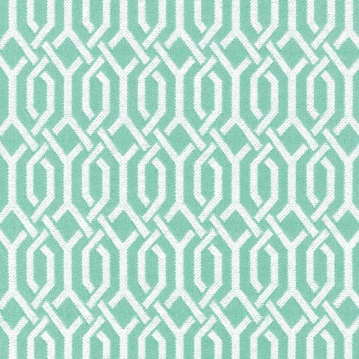 Dont You Fret Mint Julep by Kasmir Designer Fabric 5073 70% Cotton
30% Polyester
 CHINA </p><p>Repeat: Horizontal: 1 4/8 inches and Vertical: 2 3/8 inches 54 - 55 - Swanky Fabrics -