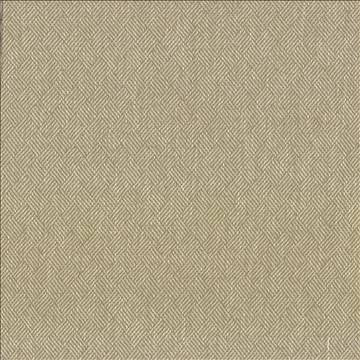 Dream Weaver Oyster by Kasmir Designer Fabric 5083 69% Polyester 31% Cotton USA 50,000 Wyzenbeek Double Rubs H: 1 3/8 inches, V: 1 1/8 inches 54 - 55 - Swanky Fabrics - Kasmir