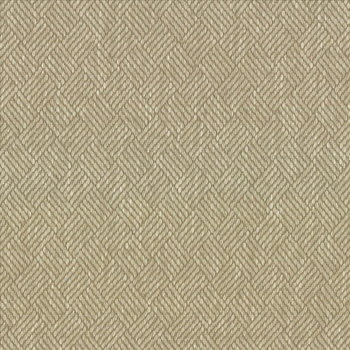 Dream Weaver Oyster  by Kasmir Designer Fabric 5083 69% Polyester
31% Cotton
 USA 50,000 Wyzenbeek Double Rubs Horizontal: 1 3/8 inches and Vertical: 1 1/8 inches 54  - Swanky Fabrics -